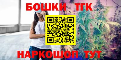 тгк Новозыбков