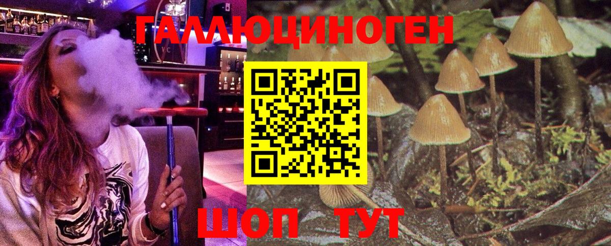Конопля Тобольск