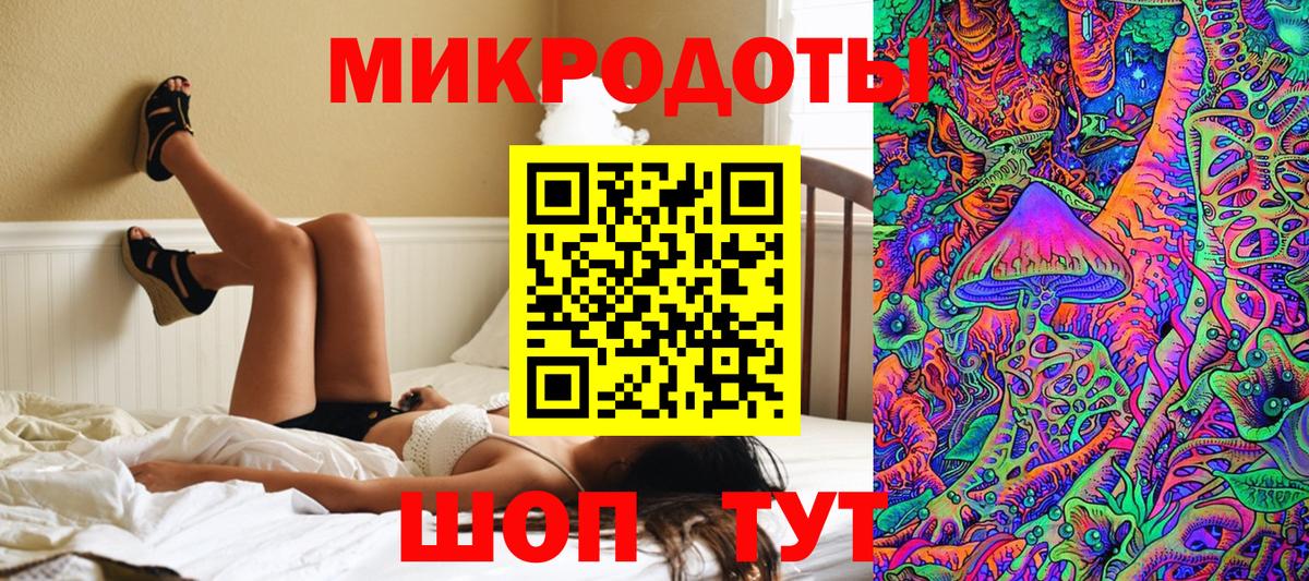 Псилоцибиновые грибы Psilocybine cubensis Тобольск