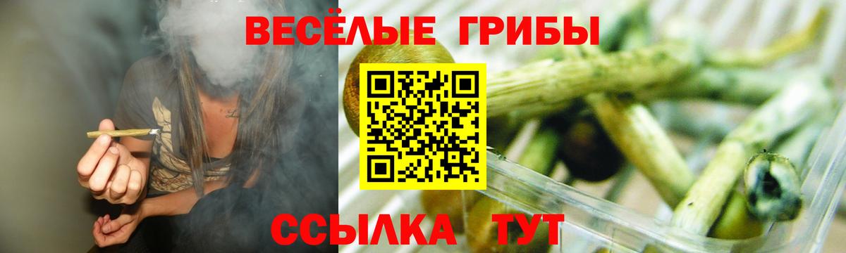 магазин продажи   Псилоцибиновые грибы мицелий  Вход с VPN  Тобольск 